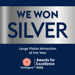 Largeva SILVER Socialassetveae2025