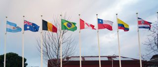 A row of flagpoles