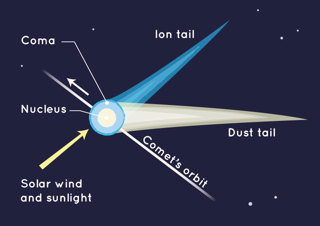 The anatomy of a comet.