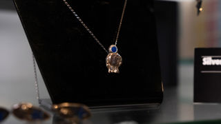 Jurassic Jewellery
