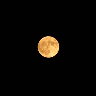 Yellow moon