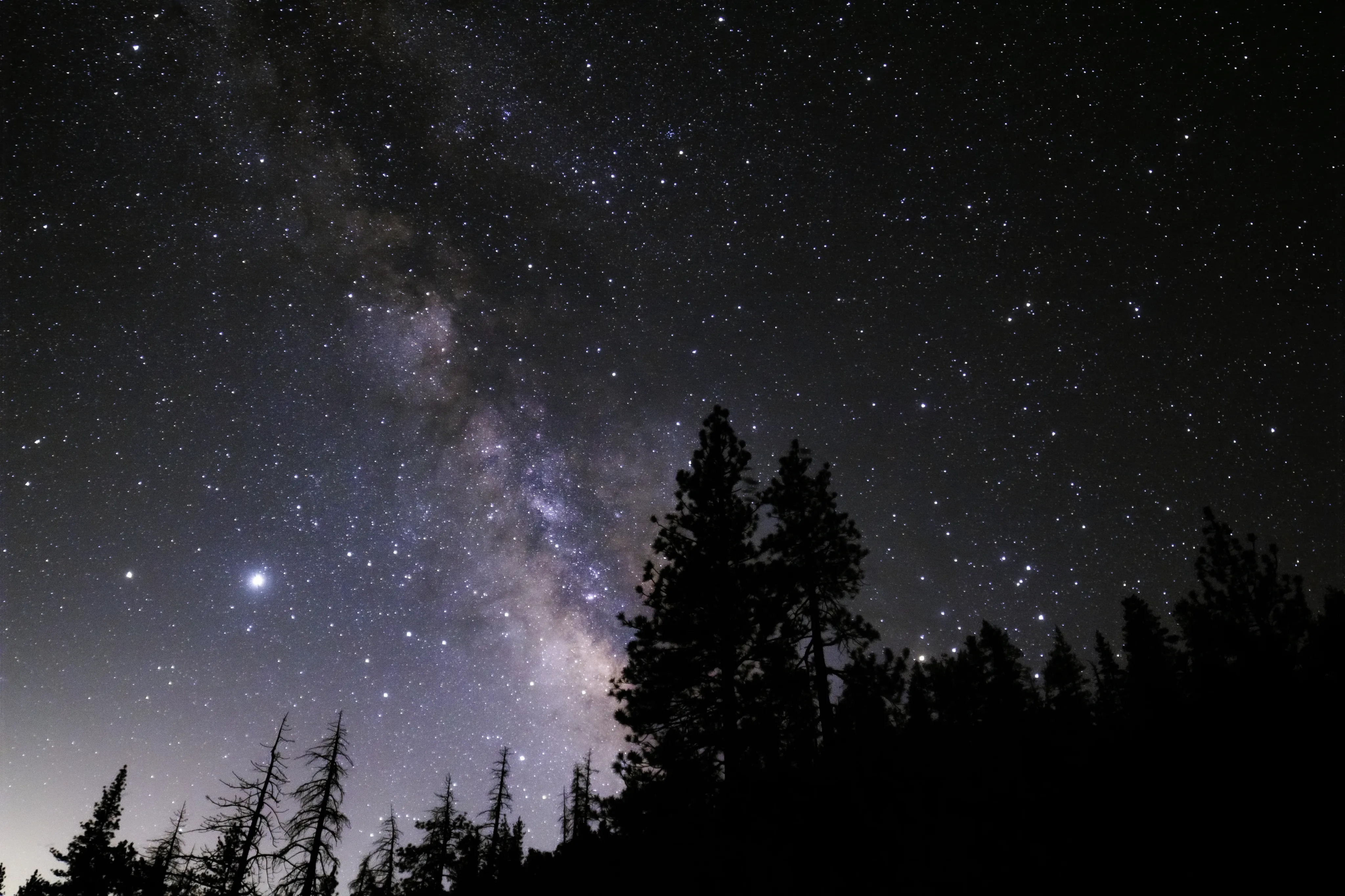 Night Sky Image with Trees