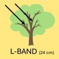 L Band