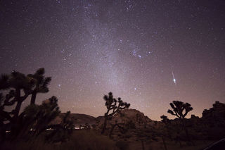 Taurid Meteor Shower - Joshua Tree, California, 6 November 2015.