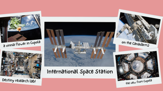 Collage of ISS activities