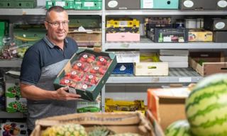 The Veg Factor