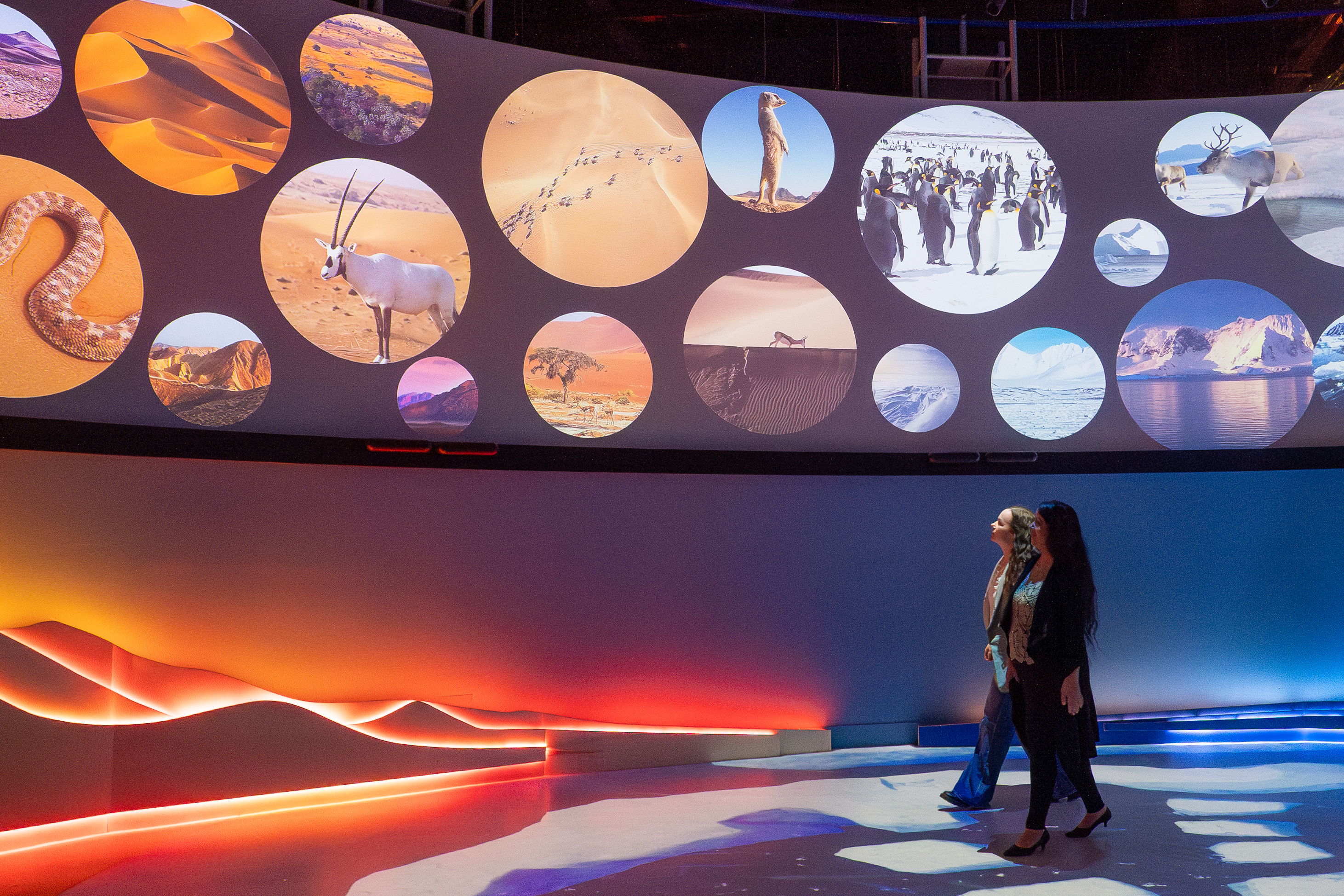 P1264091 Enhanced NR