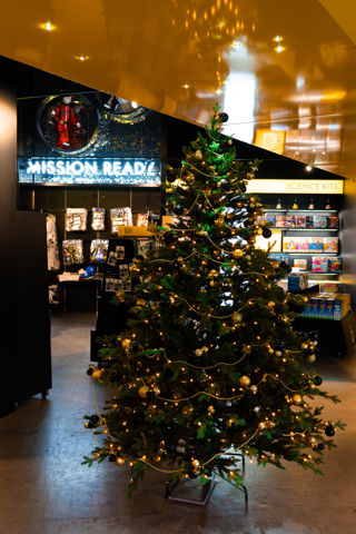 Christmas Tree in front of Shop