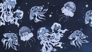 Jellyfish
