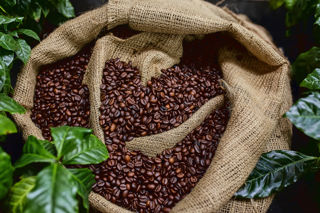 Roasted coffee beans